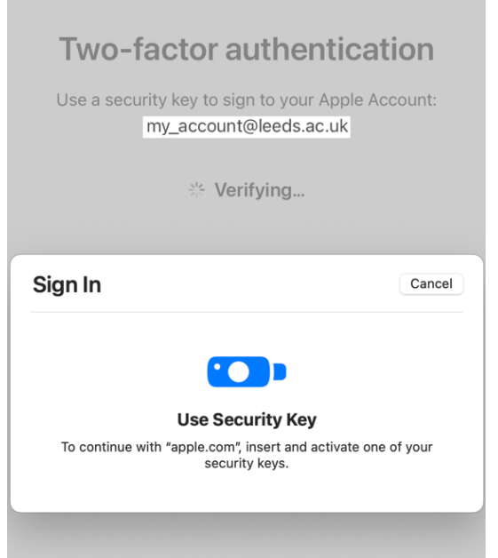 Pop-up saying to continue by inserting and activating one of your security keys.