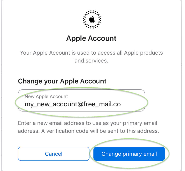 Screen showing the new primary email being entered, with the 'change primary email' option highlighted